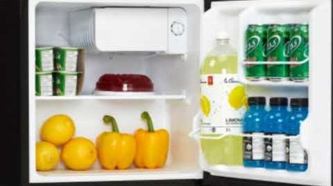 Danby (DCR016C1BDB) 1.6 Cu Ft Compact Refrigerator - DANBY DCR016C1BDB COMPACT REFRIGERATORFREEZER REVIEW