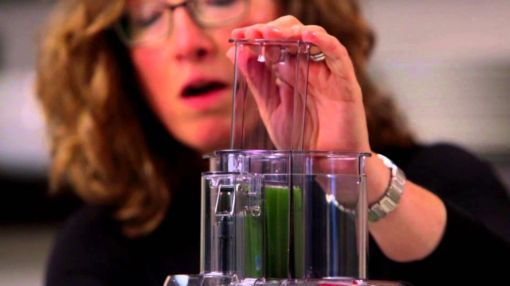 Cuisinart (FP-11GM) Elemental 11-Cup Food Processor - Cuisinart Elemental 11 Food Processor (FP-11 White) Demo Video