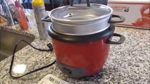 Aroma Housewares (ARC-363-1NGB) 2-6 cups Cooked Rice Cooker, Steamer, Multicooker - Product Review: Aroma Rice Cooker + Food Steamer