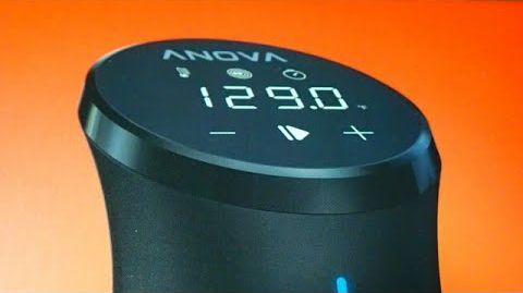 Anova (AN500-US00) Precision® Cooker - Anova AN500 Precision Cooker Sous Vide