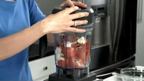 Vitamix (1957) Professional Series 750 - Vitamix Professional Series 750: What You Can Make