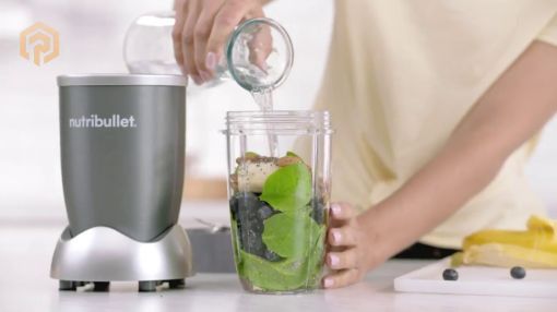 NutriBullet NBR-0601 Nutrient Extractor - NutriBullet NBR-0601 Nutrient Extractor