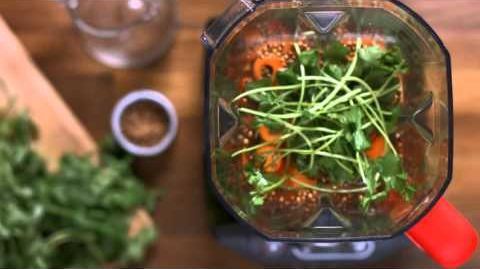 Oster Versa Pro Series - Oster Versa Performance Blender OBL104