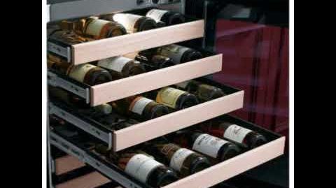 GE Profile™ Series (PCR06WATSS) 57-bottle Capacity Wine Center - Appliance Warehouse - GE Profile Series Wine Center