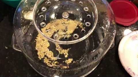 West Bend (82505) Stir Crazy Popcorn Popper - BEST POPCORN POPPER | WestBend Stircrazy Stirring Popcorn Machine Review