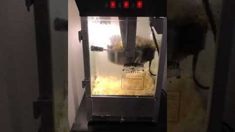 Great Northern Popcorn (6092) Antique Style Popcorn Popper Machine - 6092 Great Northern Popcorn Black Antique Style Popcorn Popper Machine