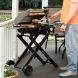 Cuisinart CGG-240 All Foods Roll-Away Gas Grill, Stainless Steel - 2
