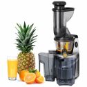 Best Choice Products (SKY4890) Fruit Vegetable Cold Press Juicer Extractor