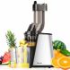 Costway (EP24001US) Slow Masticating Juicer Cold Press Extractor - 0