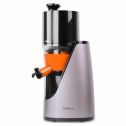 Tenergy Masticating Juicer, Anti-Oxidation Slow Speed Cold Press Juicer, High Nutrient Fresh Vegetable and Fruit Juice Extractor, Easy to Clean Juicer with Jug and Brush