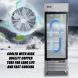 Single Glass Door Merchandiser Freezer - KITMA 19.1 Cu.Ft Merchandiser Display Case with LED Lighting for Restaurants, 0Â°F - 8Â°F - 3